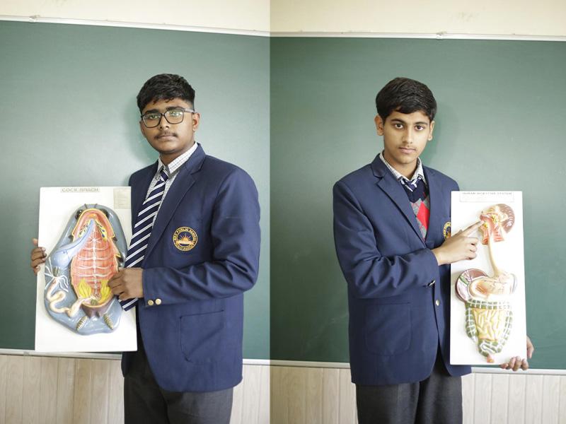 Biology Lab 4